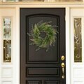 Standalone 21 in. Artificial Fern Wreath with Grapevine Base Wall Decor ST3843143